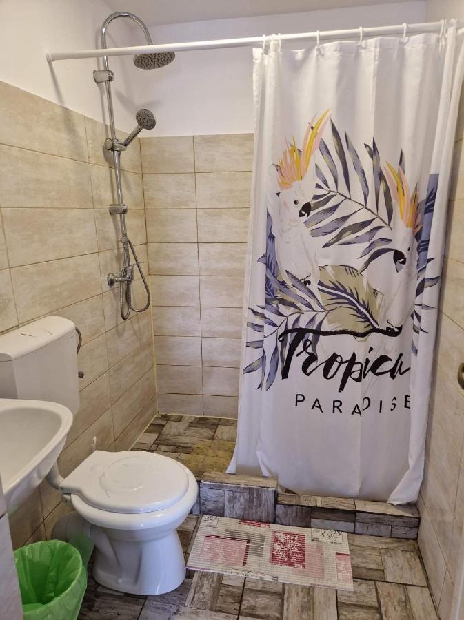 Pagini Din Vama Apartment วามาเวเก ภายนอก รูปภาพ